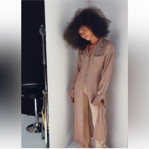 ZARA Button Down Shirt Dress